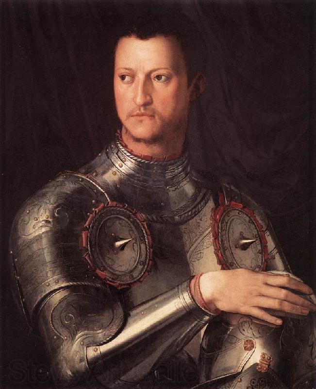 BRONZINO, Agnolo Cosimo I de  Medici in Armour Norge oil painting art